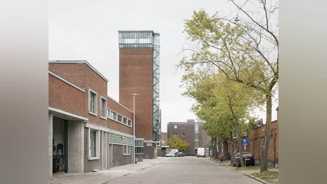 Beeld Stijn Bollaert