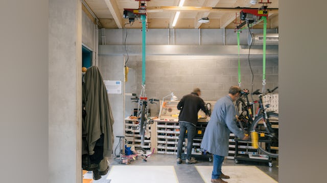 Beeld Stijn Bollaert