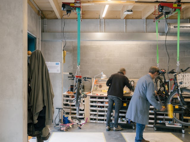 Beeld Stijn Bollaert