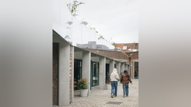 Beeld Stijn Bollaert