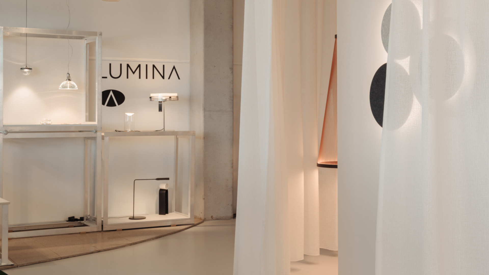 Eikelenboom. Beeld Mart Goossens