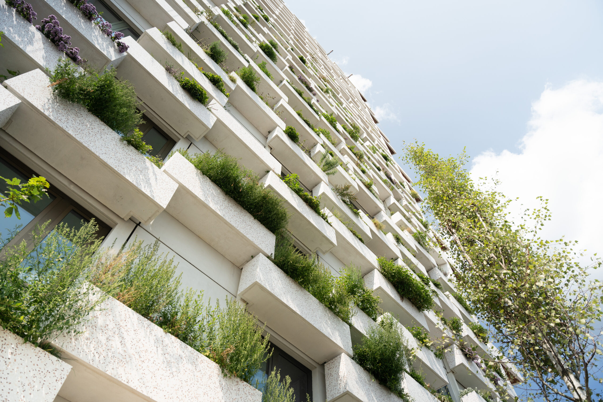 Bij Wonderwoods in Utrecht zijn de bloembakken en dakranden waterdicht gemaakt met Triflex ProDetail.