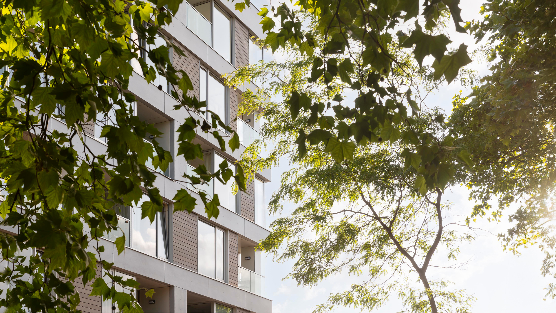 Het Veem. Beeld Alfred Lor