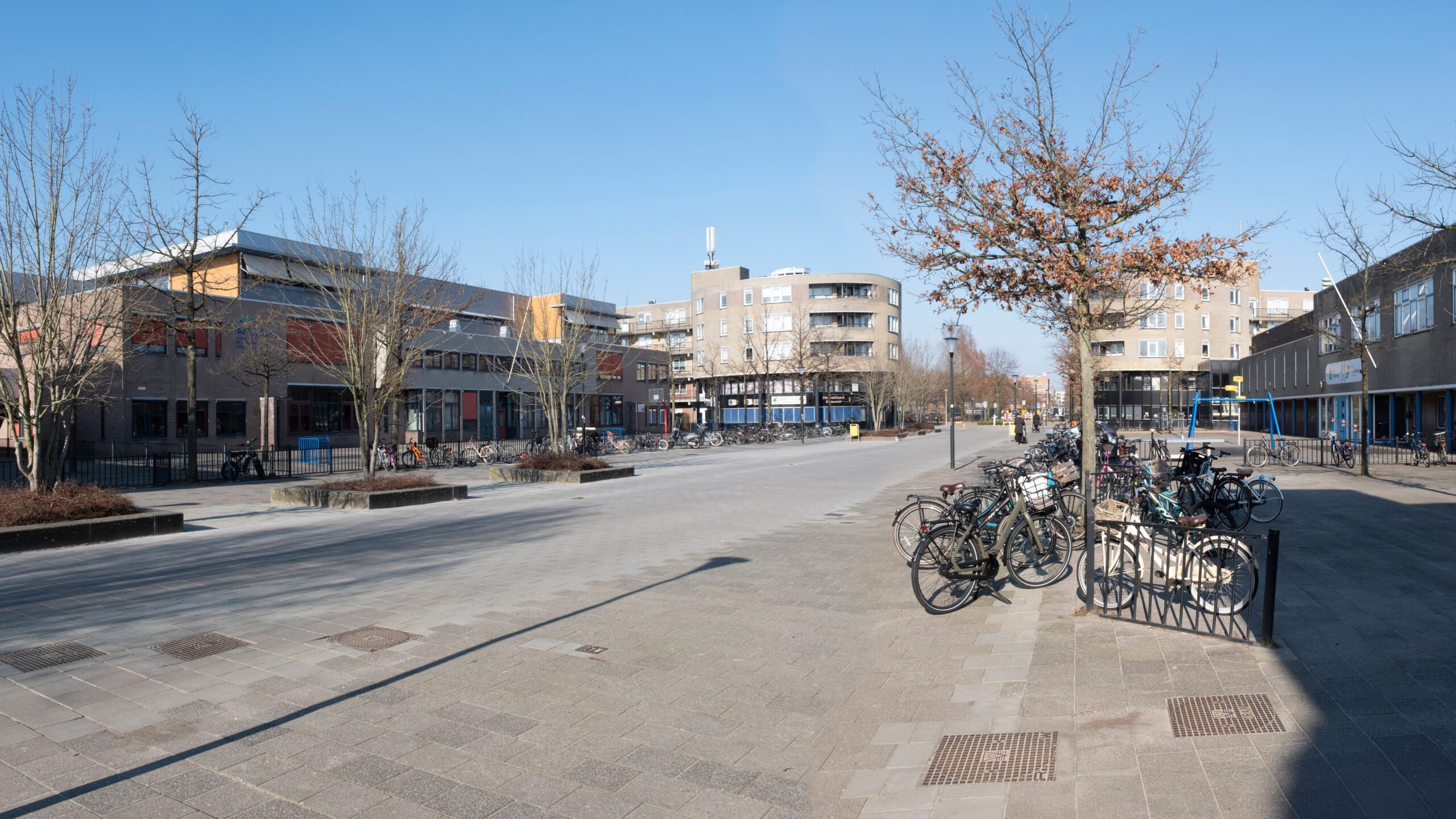 Beeld Henk Vrieselaar / Shutterstock