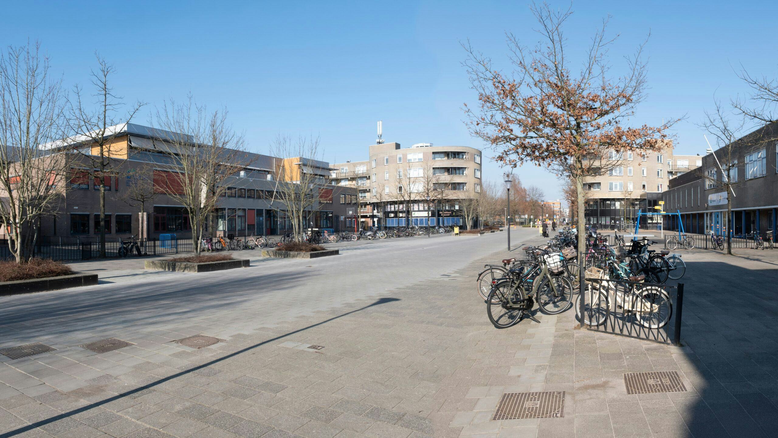 Beeld Henk Vrieselaar / Shutterstock