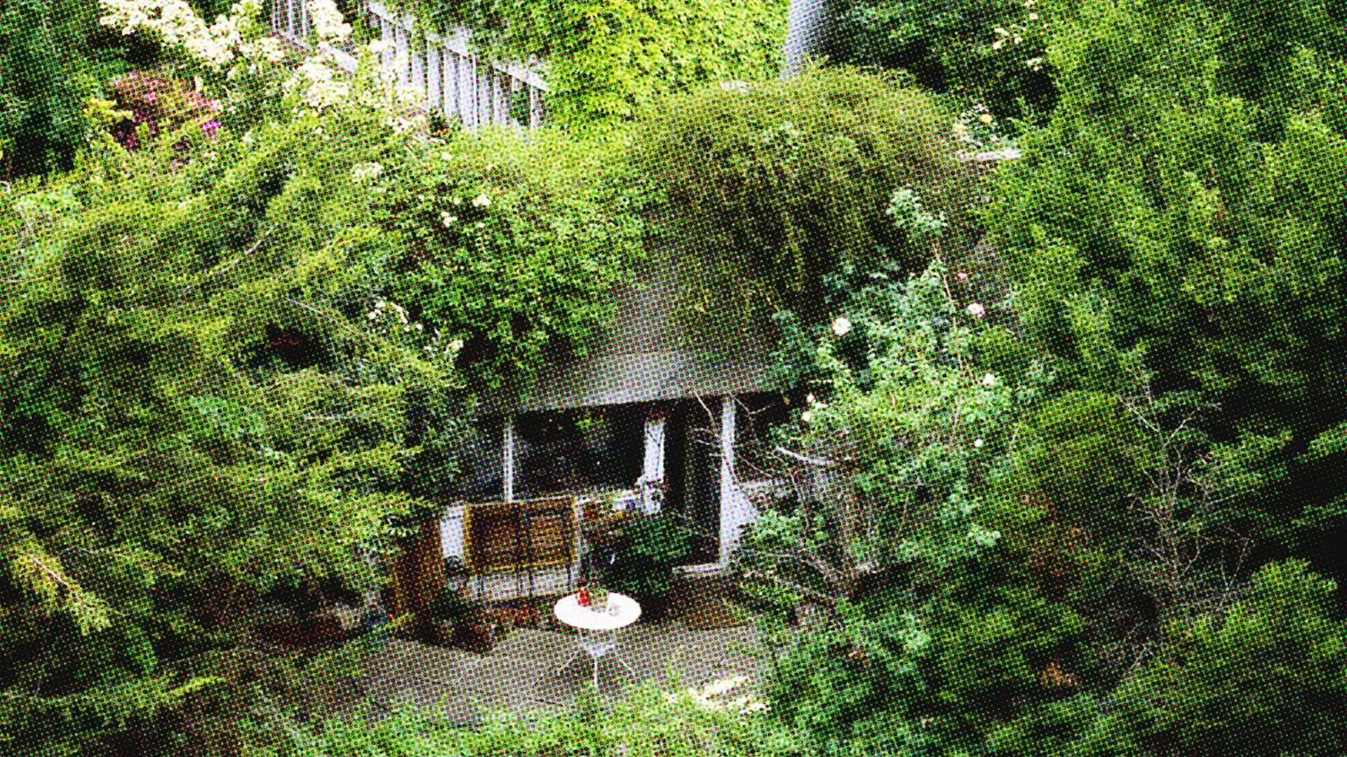 Greenery in Le Liegat. Beeld Paul Maurer