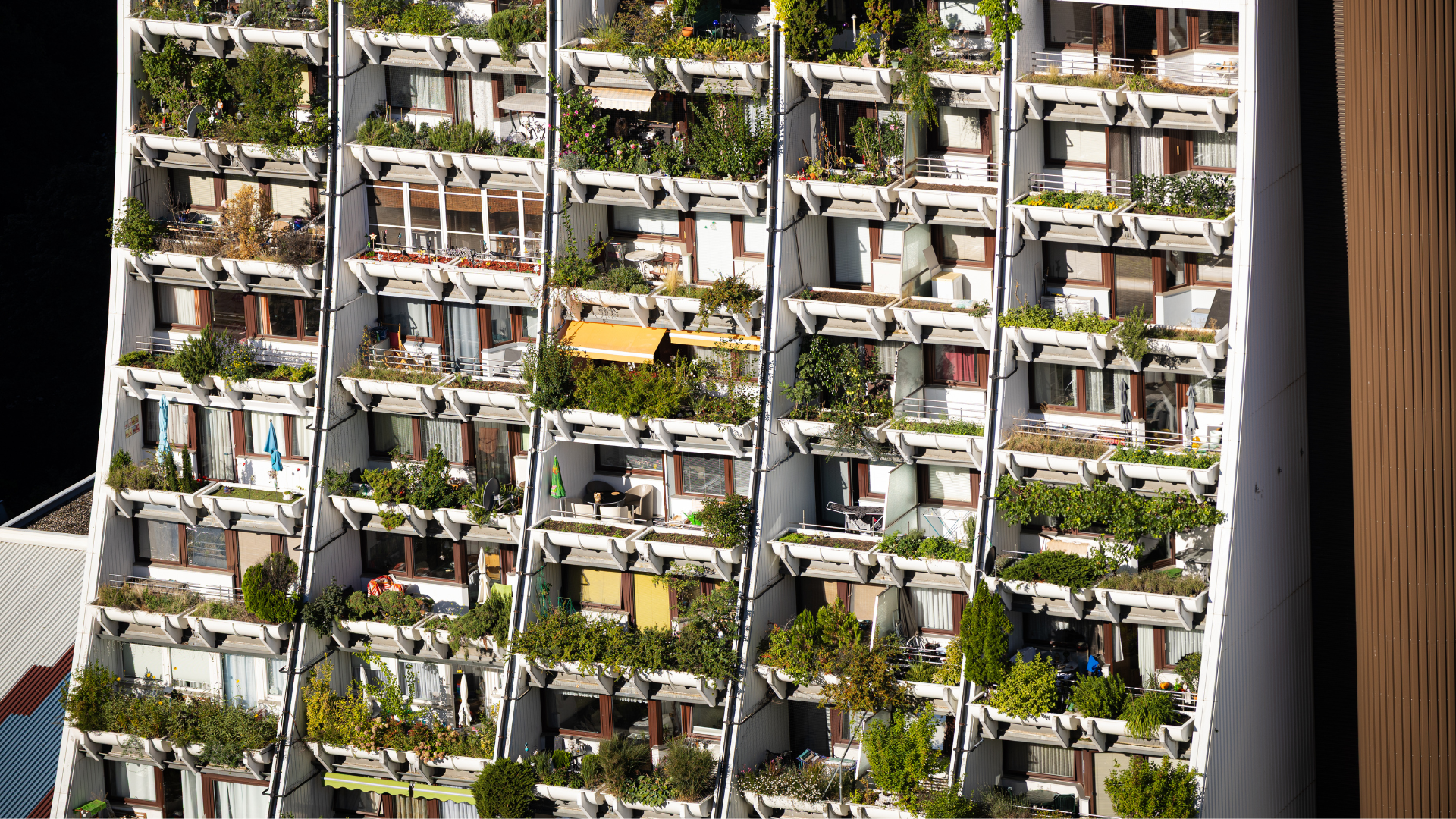 Alterlaa. Beeld Christian Lendl