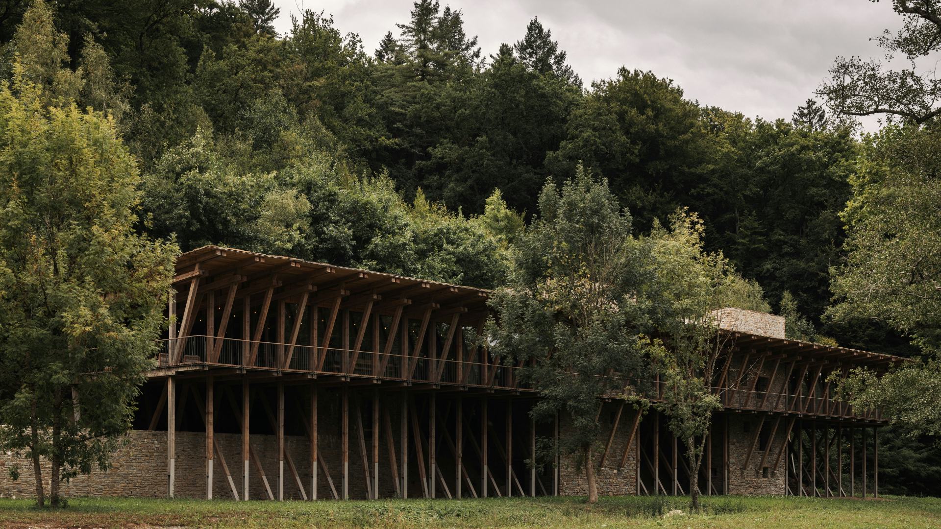 Beeld Tijs Vervecken