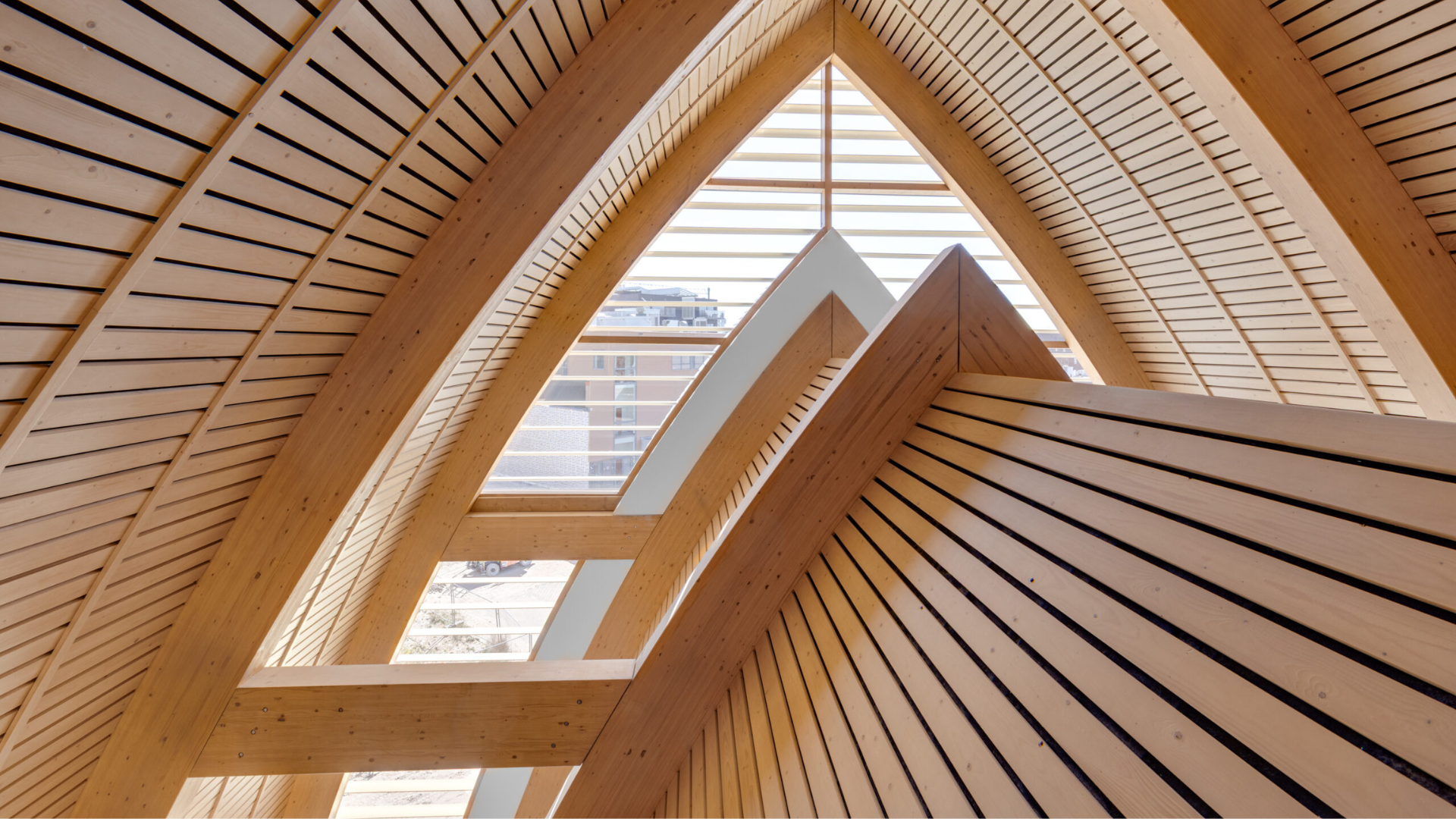 Beeld Martijn Vonck Photography