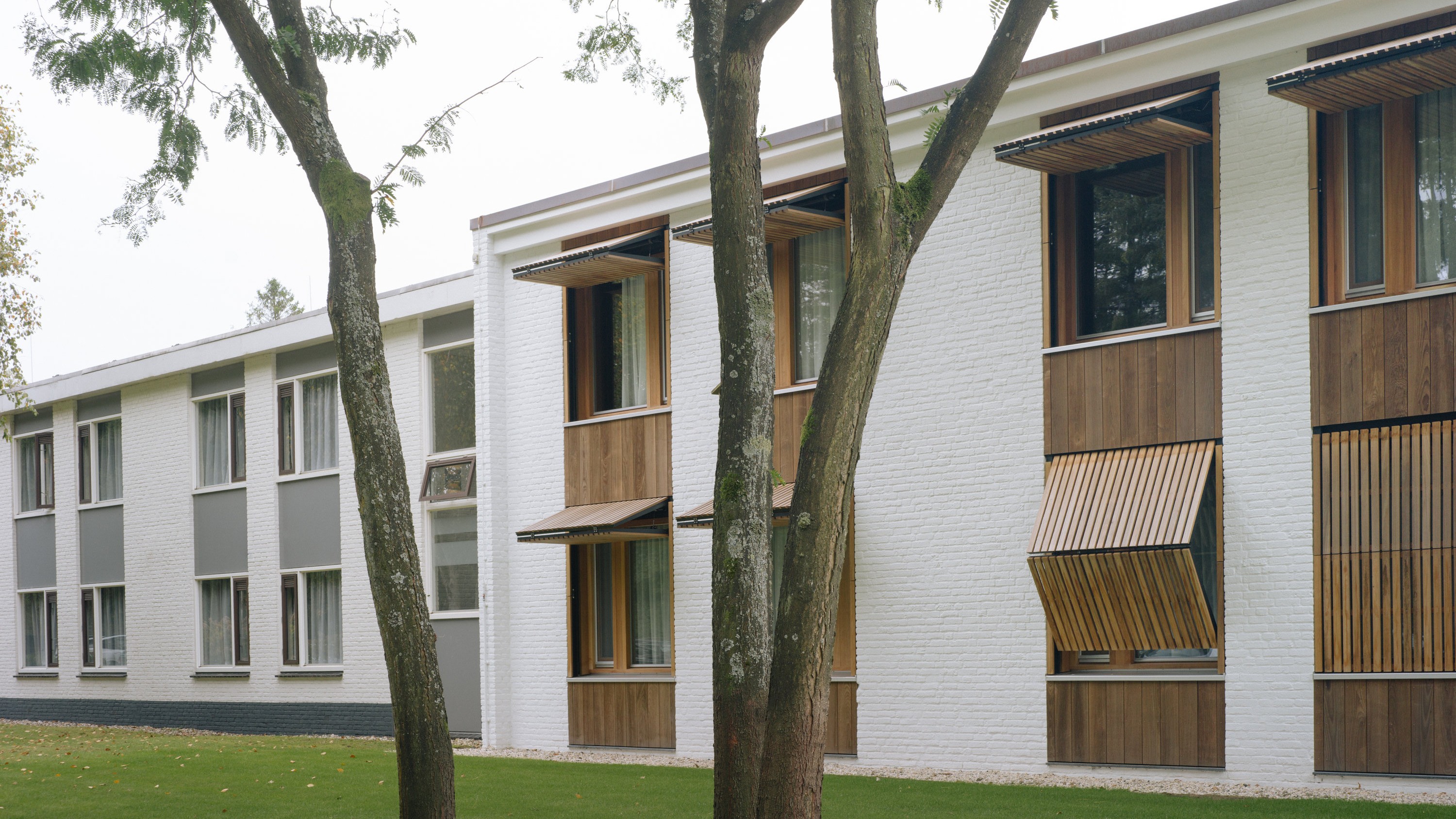 Beeld Crispijn van Sas