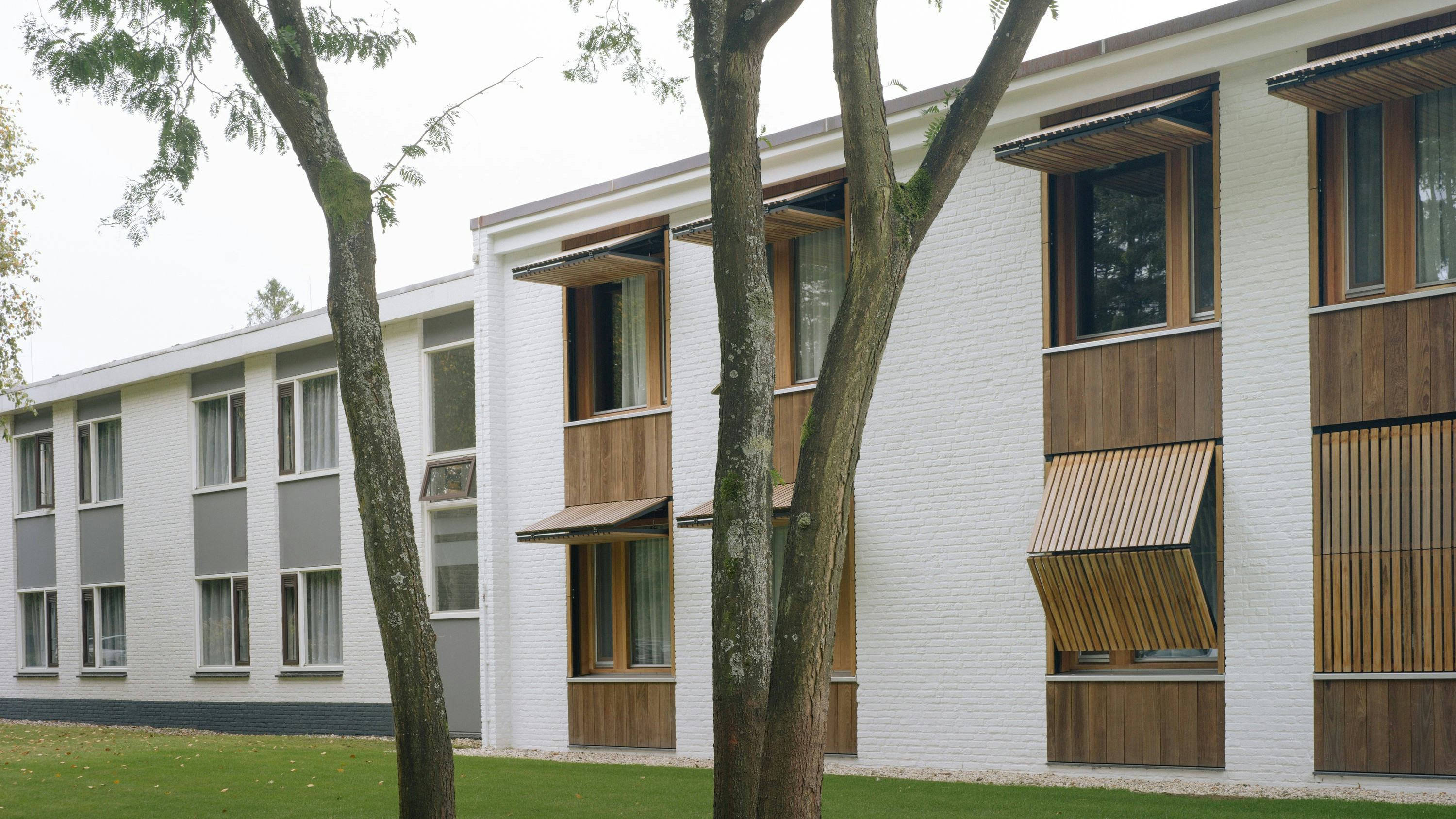 Beeld Crispijn van Sas