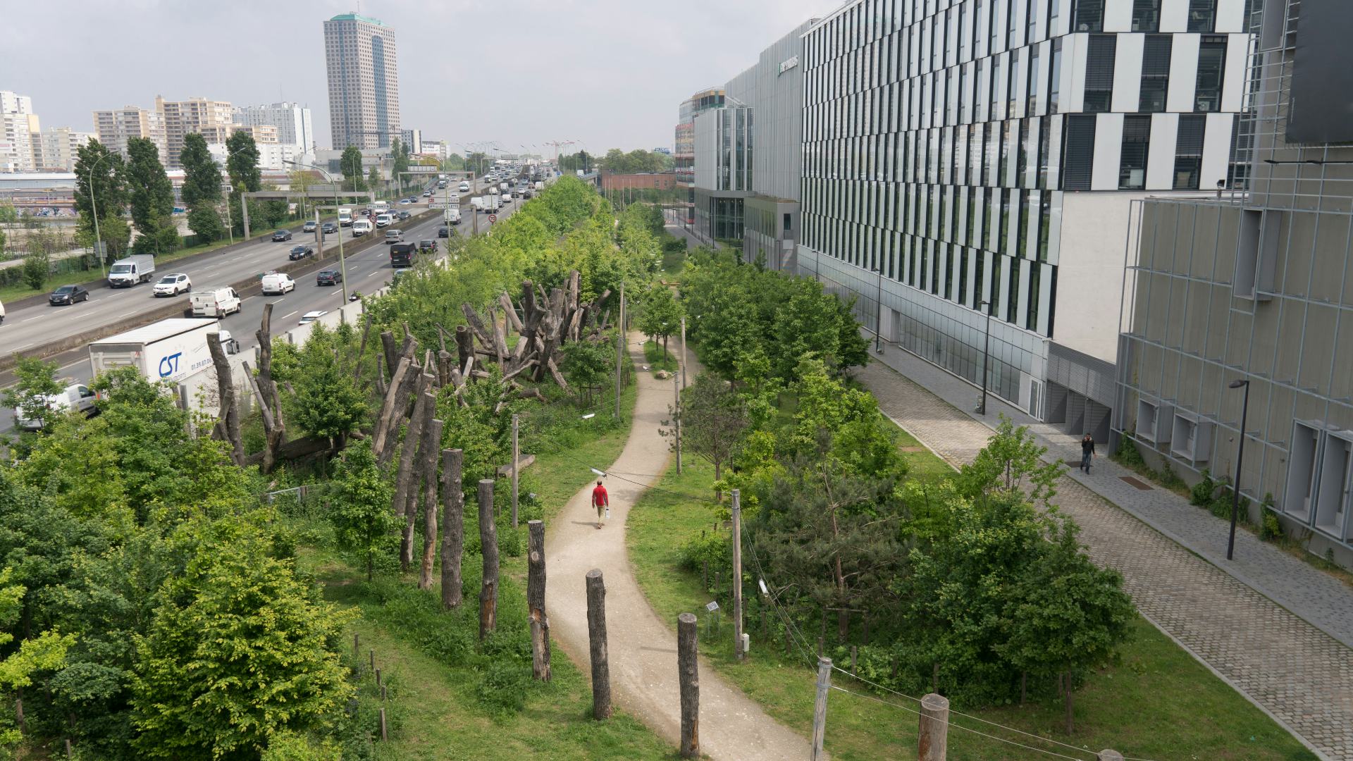 Forêt Linéaire. Foto Karolina Samborska