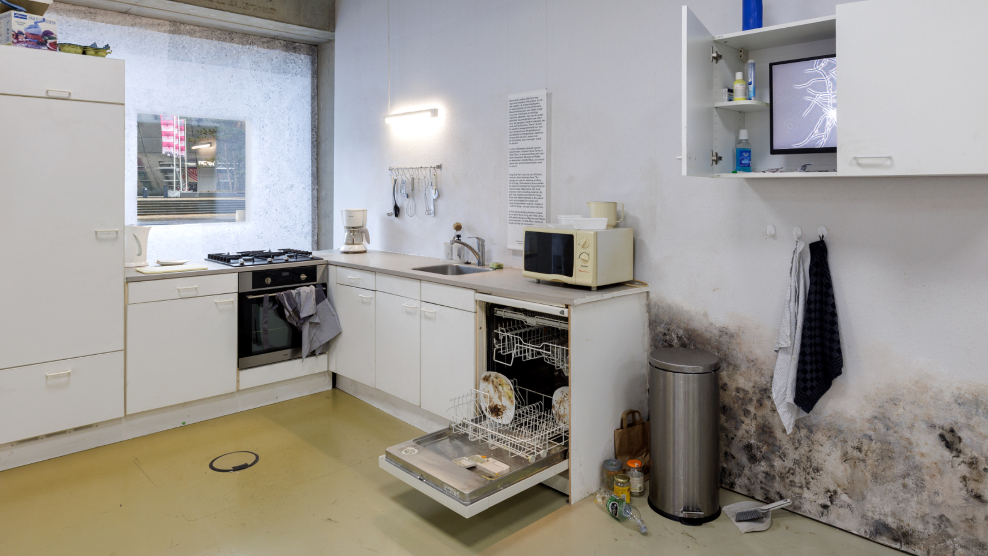 FUNGI. Anarchistische ontwerpers. Beeld Aad Hoogendoorn