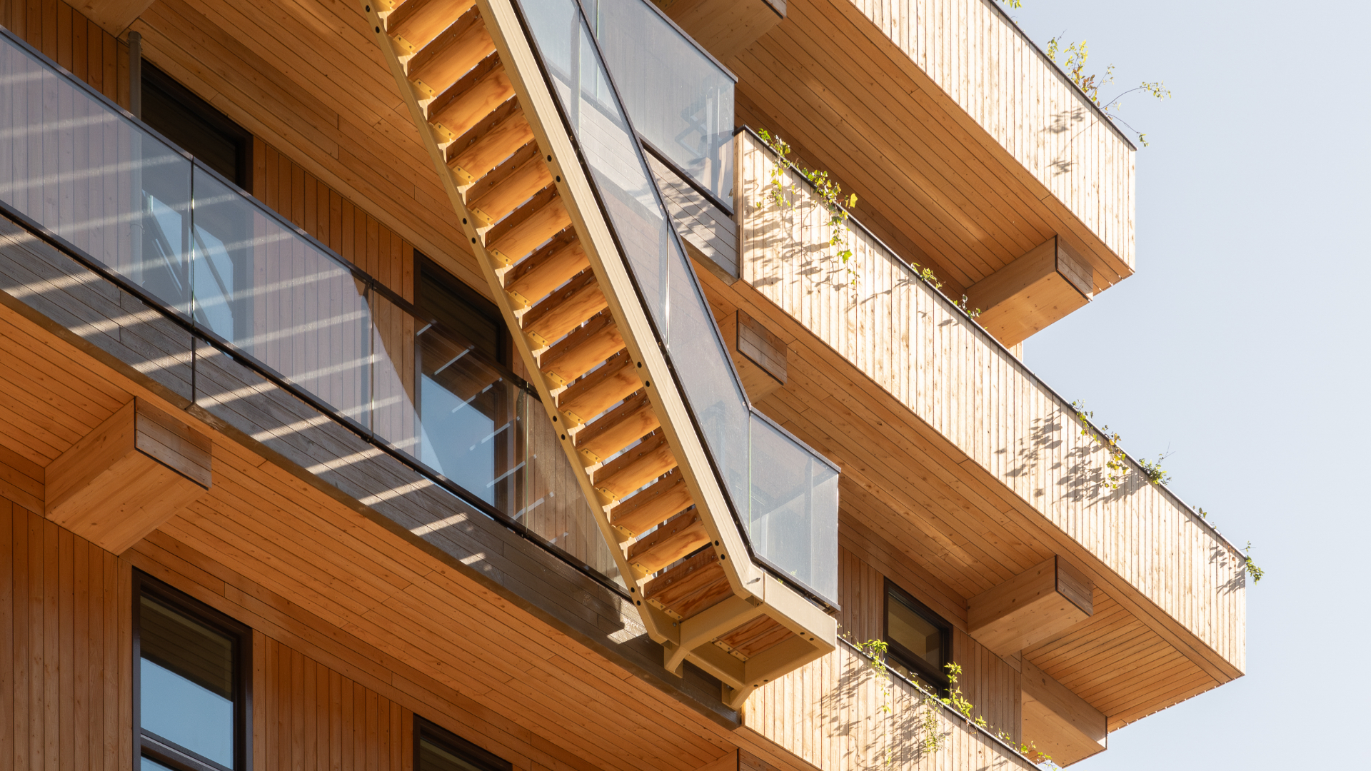 Beeld Aiste Rakauskaite