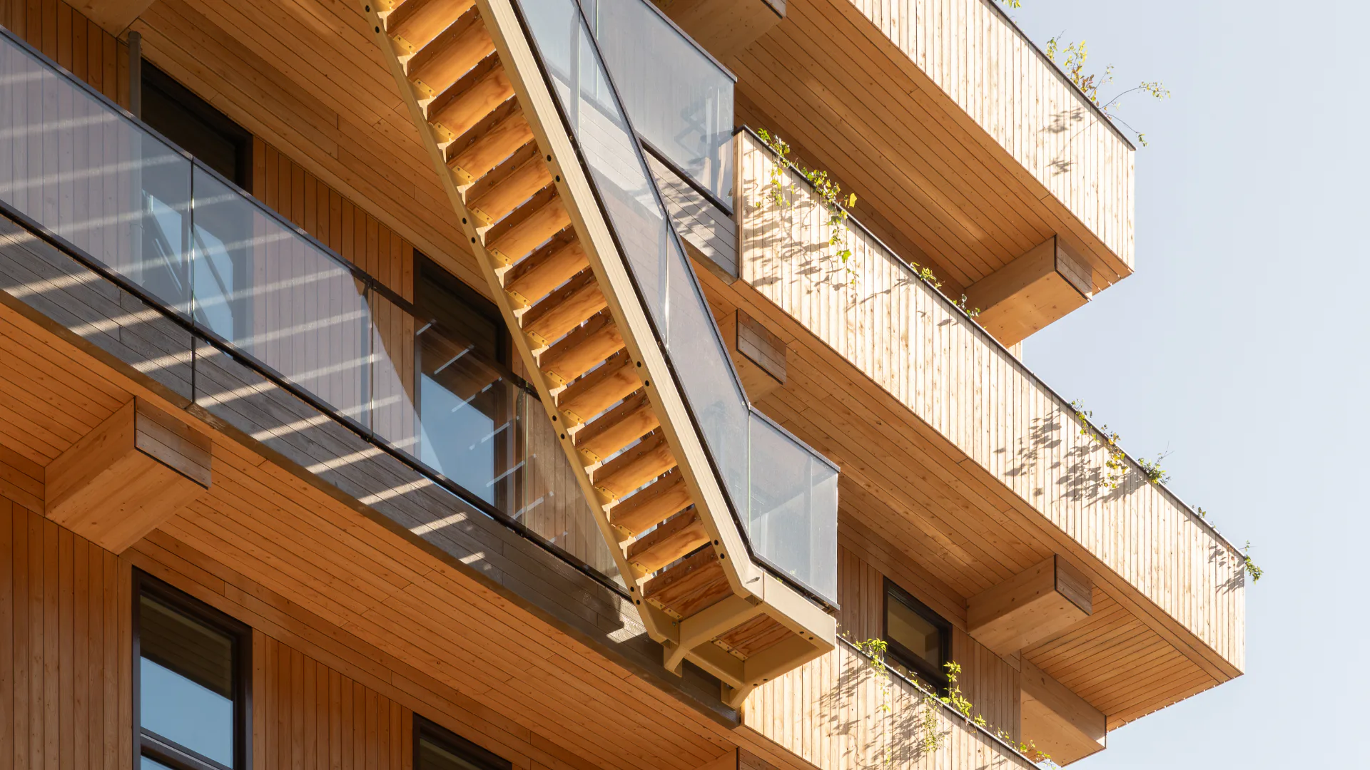 Beeld Aiste Rakauskaite