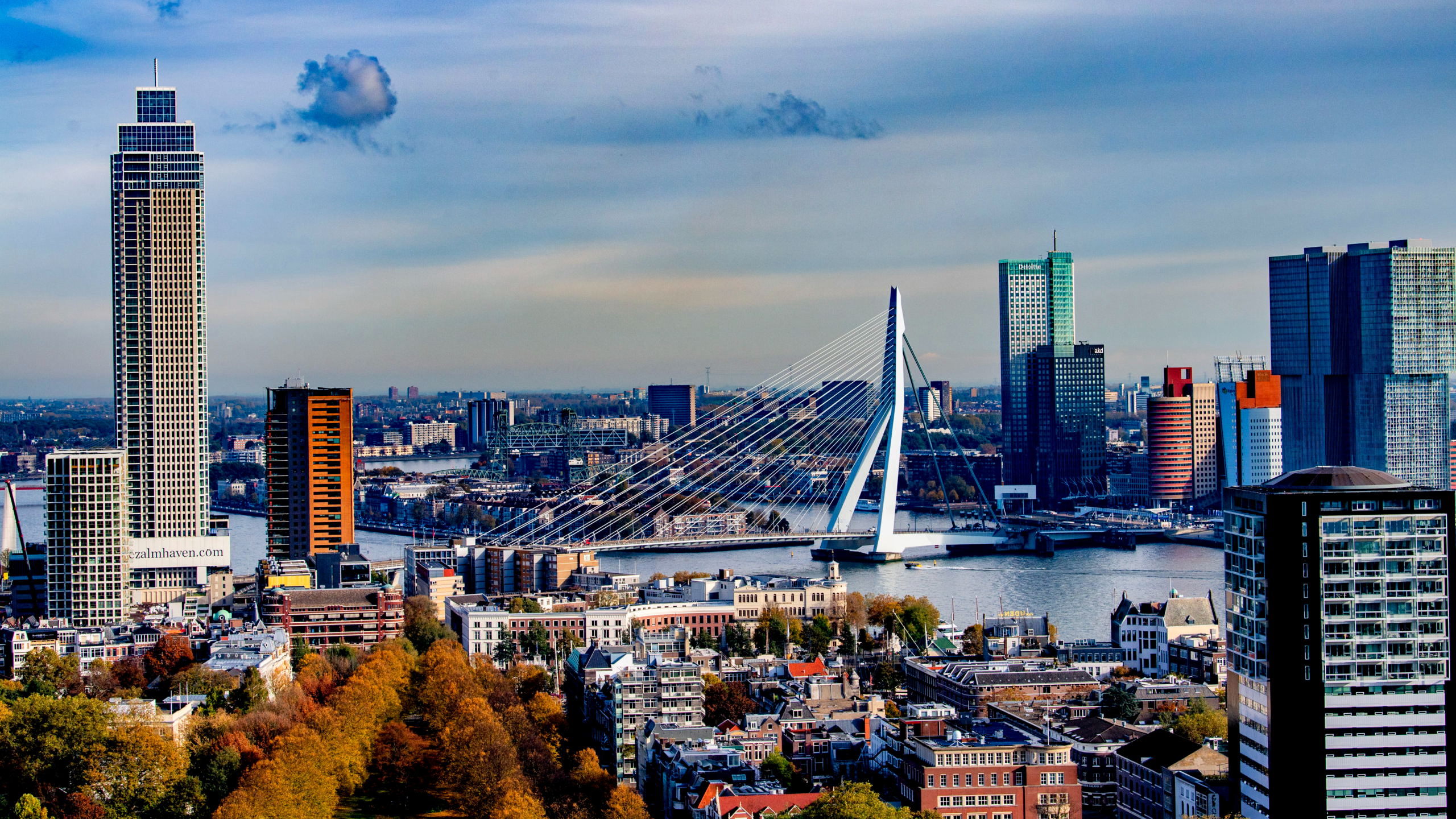 Skyline van Rotterdam. Beeld Robin Utrecht
