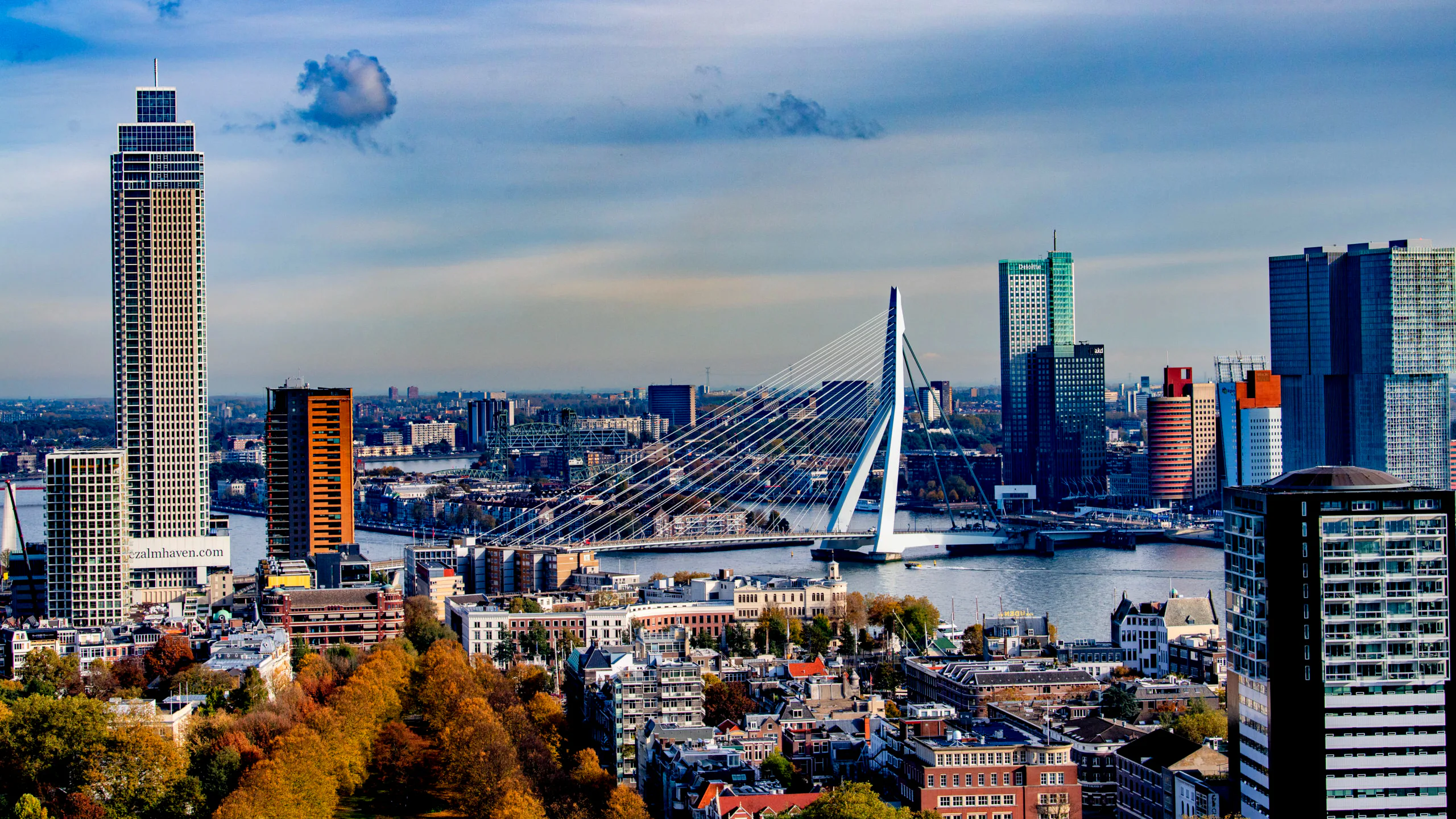 Skyline van Rotterdam. Beeld Robin Utrecht