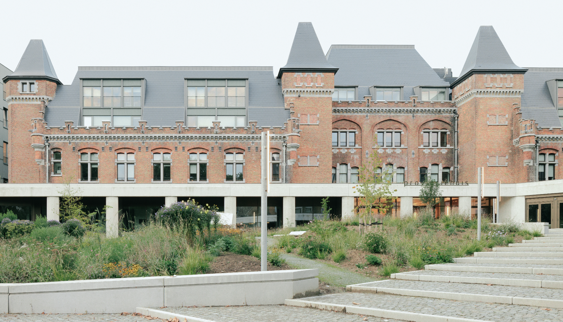 Beeld Pieter Rabijns