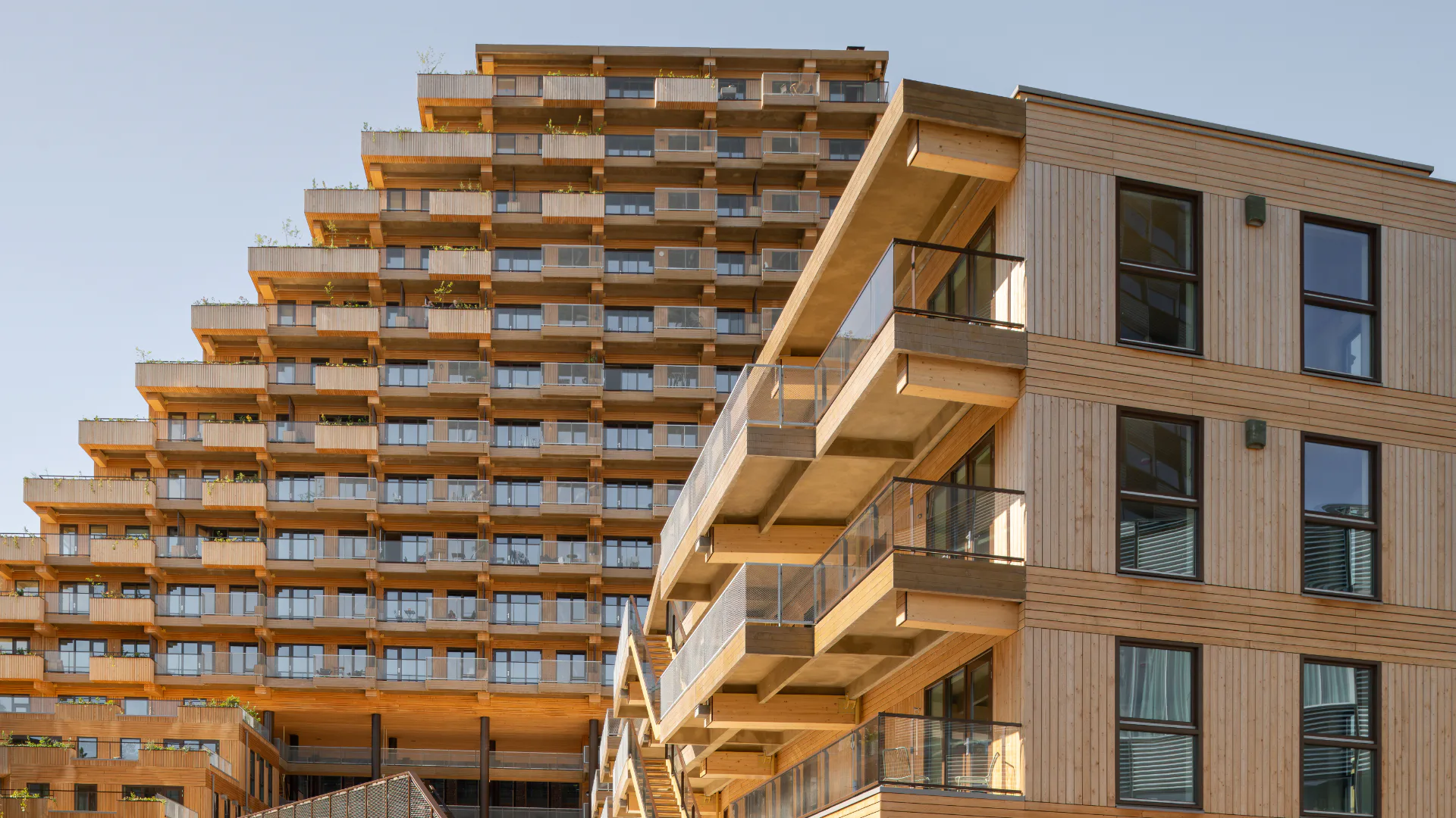 Sawa in Rotterdam van Mei architects and planners. Beeld Aiste Rakauskaite