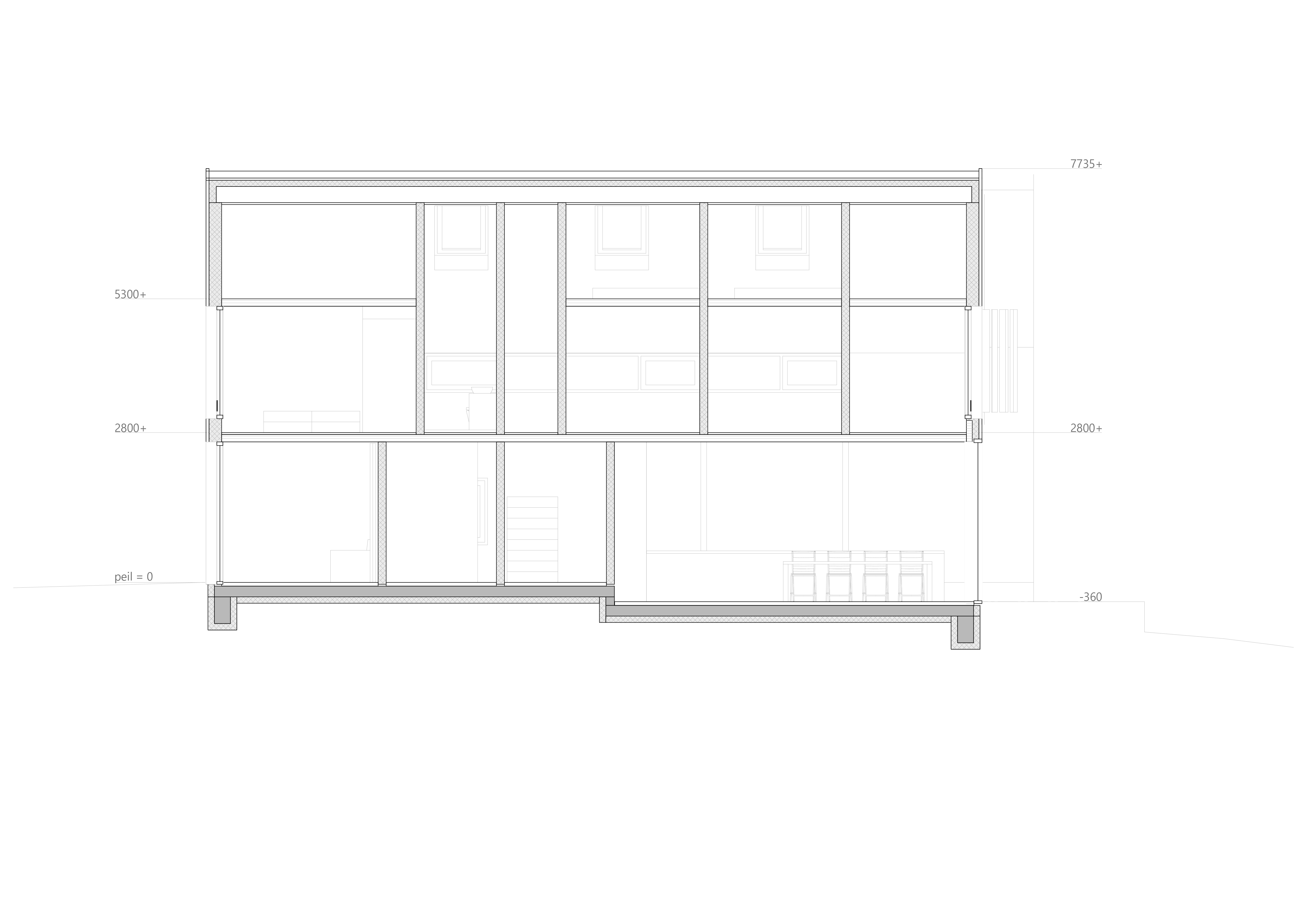 Langsdoorsnede. Beeld Woonpioniers