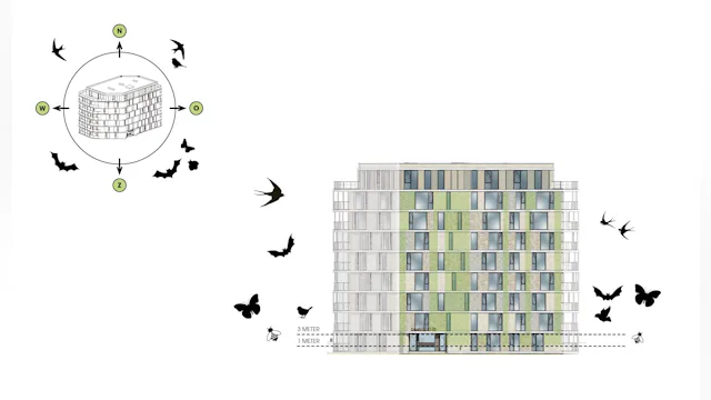 Biodiversiteit en gevel. Beeld MIX architectuur