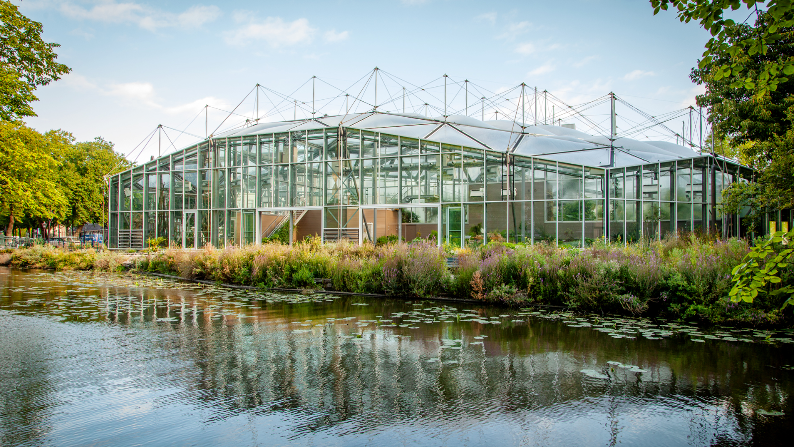 Beeld: Klimatenkas Hortus Botanicus Amsterdam / ZJA Architects & Engineers